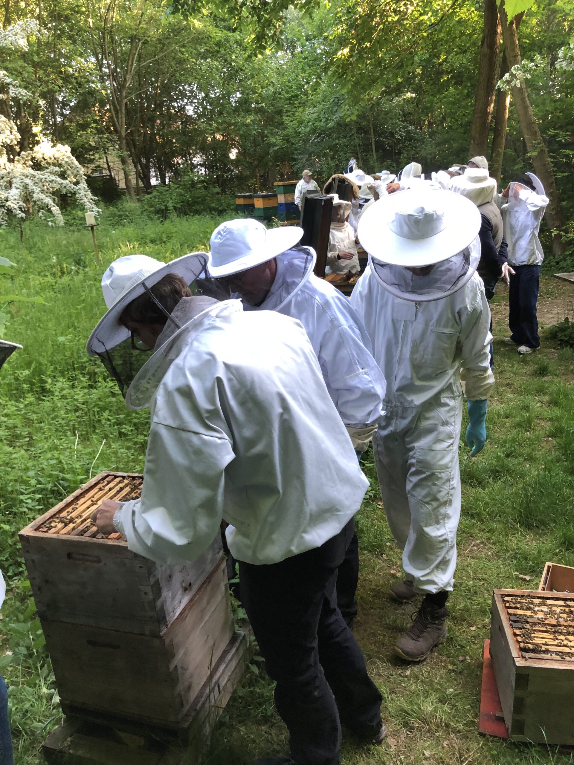 Inspektion af stade i skolebigården